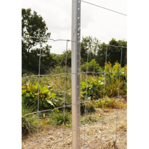 Stock Fencing Posts
