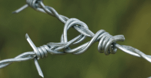 Hampton Barbed Wire