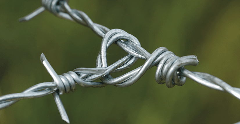Hampton Barbed Wire