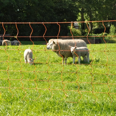 Gallagher Sheep Netting - Double Pin - 90cm - 50m - Image 3