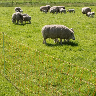 Gallagher Sheep Netting - Double Pin - 90cm - 50m - Image 9