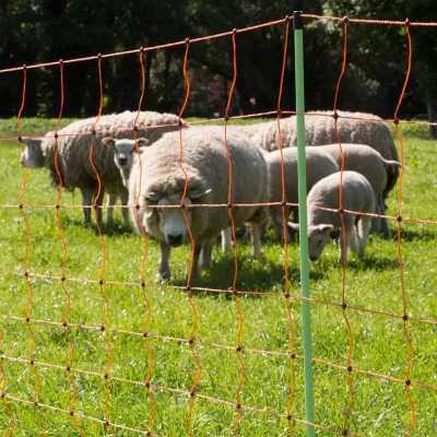 Gallagher Sheep Netting - Double Pin - 90cm - 50m - Image 8