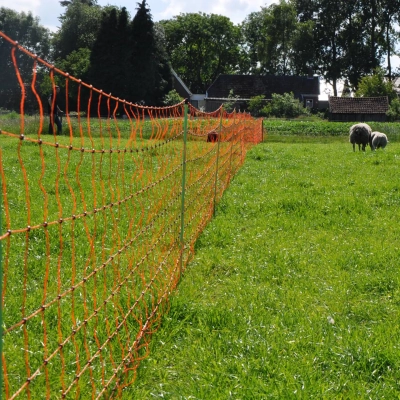 Gallagher Sheep Netting - Double Pin - 90cm - 50m - Image 4